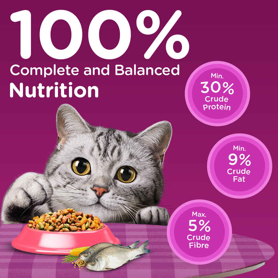 Whiskas Adult Dry Cat Food 1 Plus Years Catla Fish Flavour