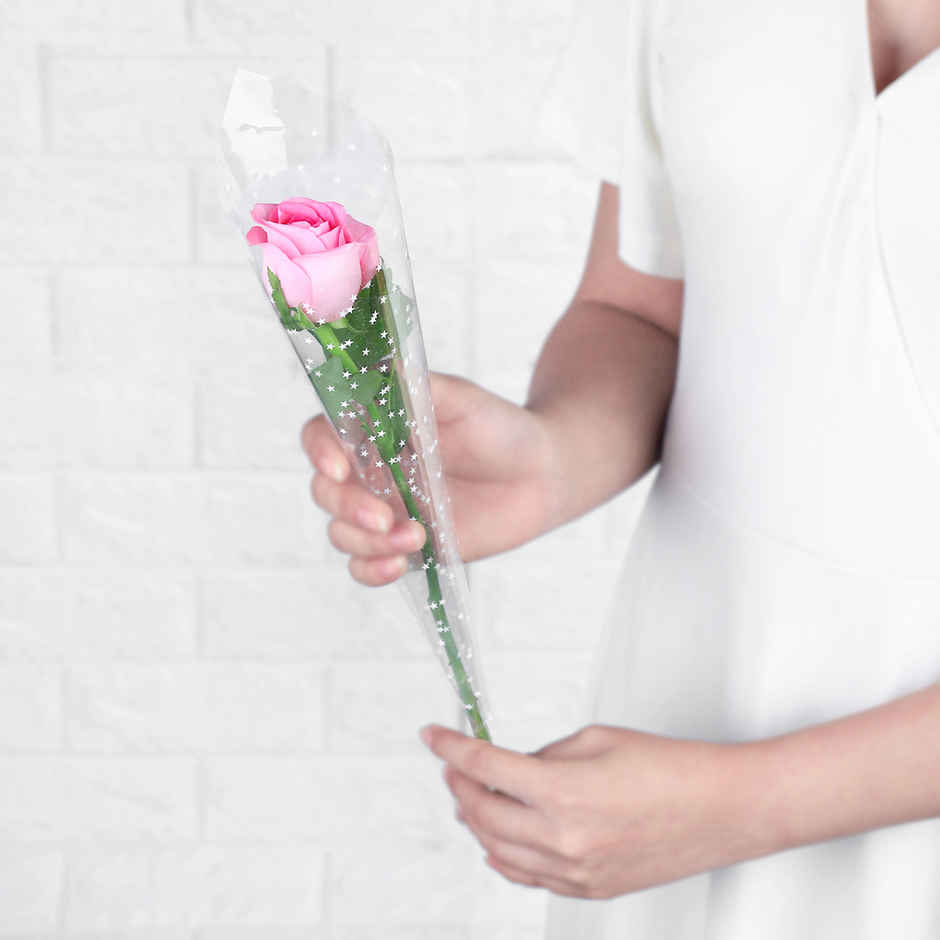 Fnp Mother's Day Single Rose