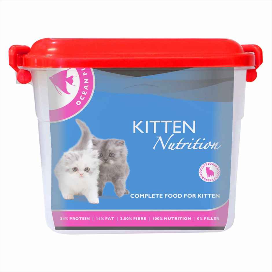 Drools Kitten (1-12 Months) Dry Cat Food With Free Container - Ocean Fish