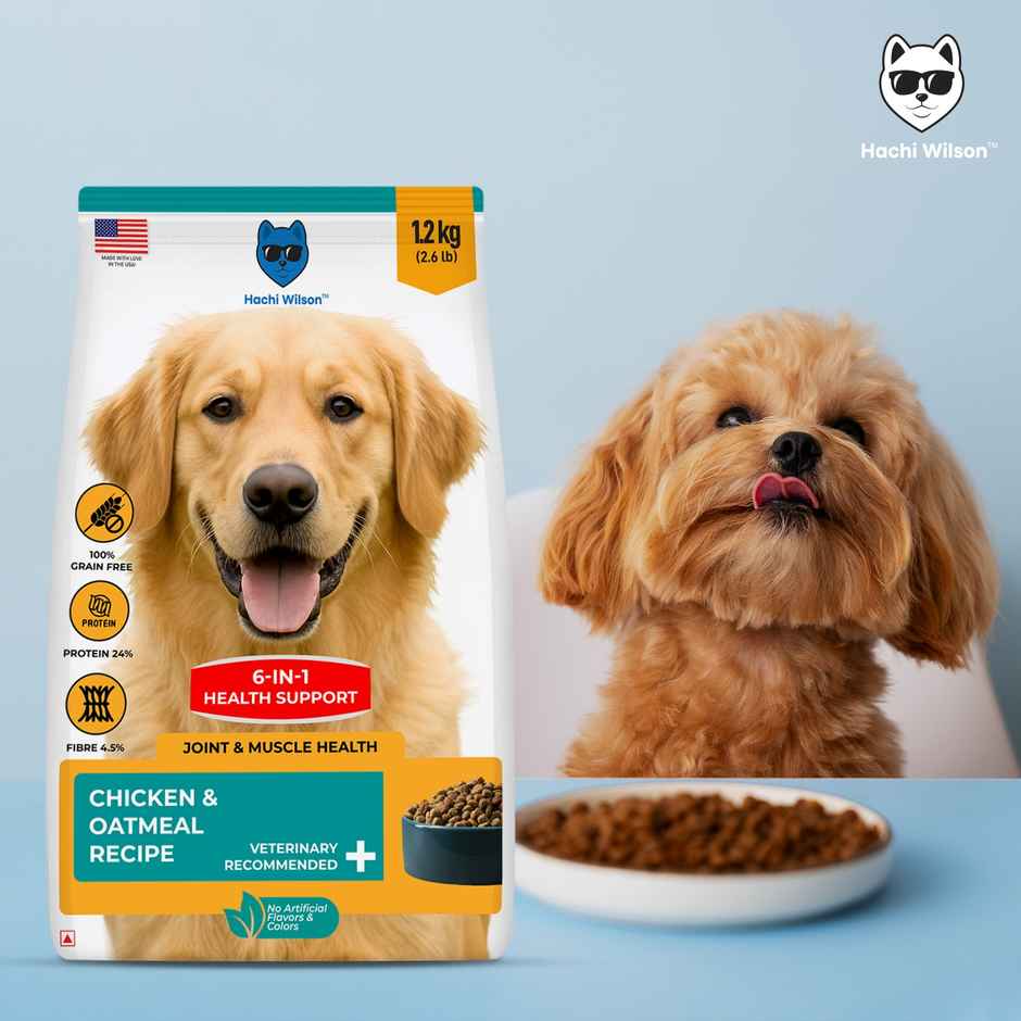 Hachi Wilson Premium Chicken & Oatmeal Dog Food - USA Made for Complete Health & Vitality