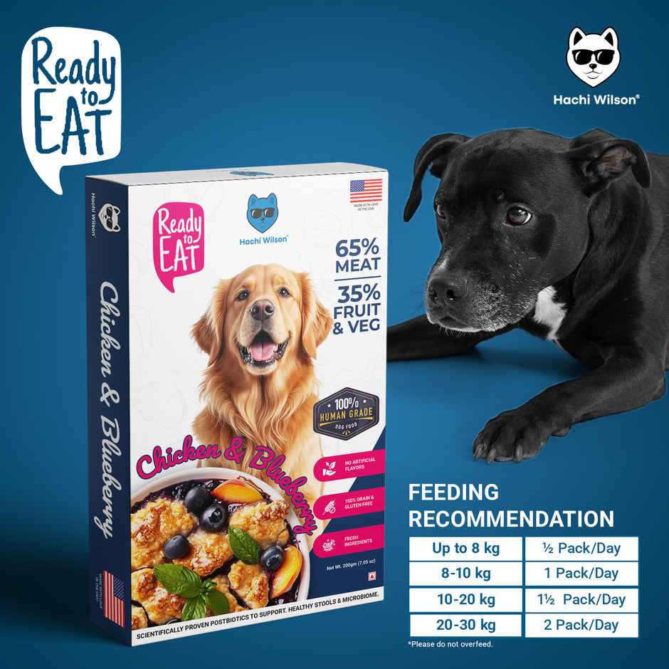 Hachi Wilson Fresh Wholesome Dog Food | Super Healthy food - Chicken & Blueberry
