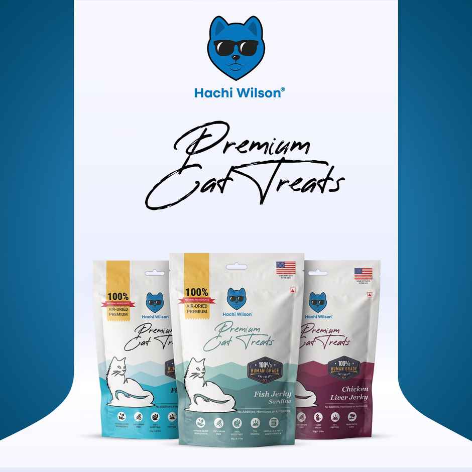 Hachi Wilson Cat Treat - Fish Crunchies