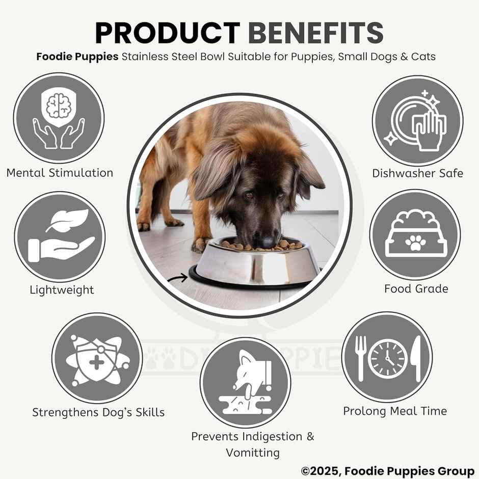 Foodie Puppies Stainless Steel Pet Feeding Bowl for Dogs and Cats | 450 ml