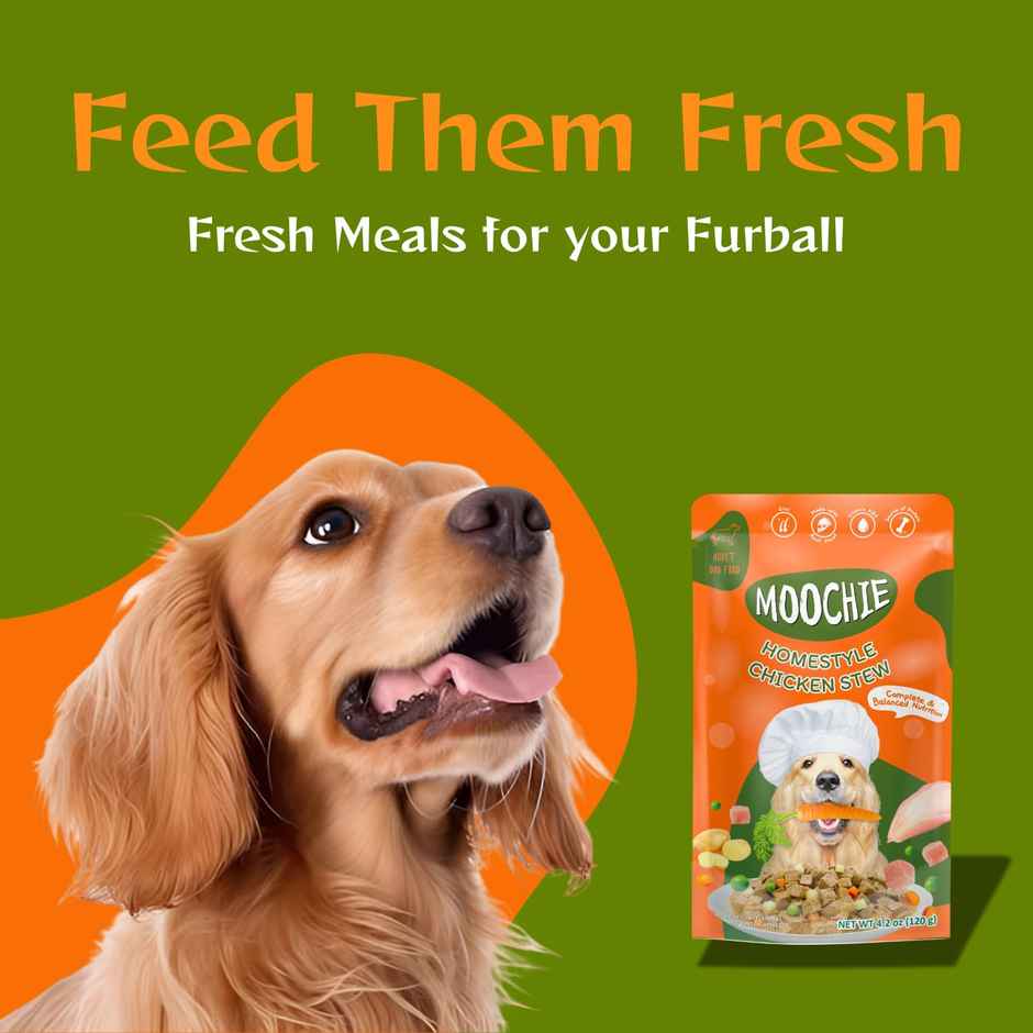 Moochie Dog Wet Gravy Food Homestyle With Chicken Stew