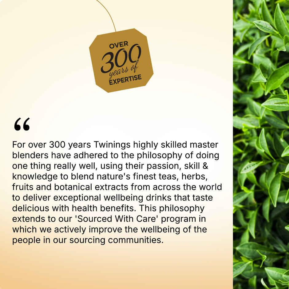 Twinings Green Tea Jasmine | 25 Teabags | Pure Elegance | Smooth & Floral