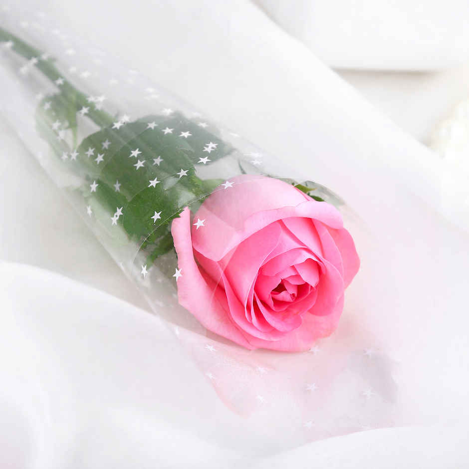 Fnp Mother's Day Single Rose