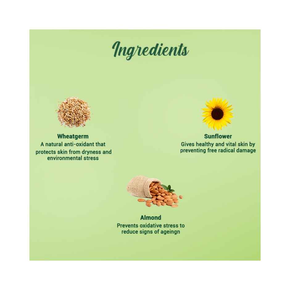 Biotique Wheatgerm Anti-Ageing Night Cream