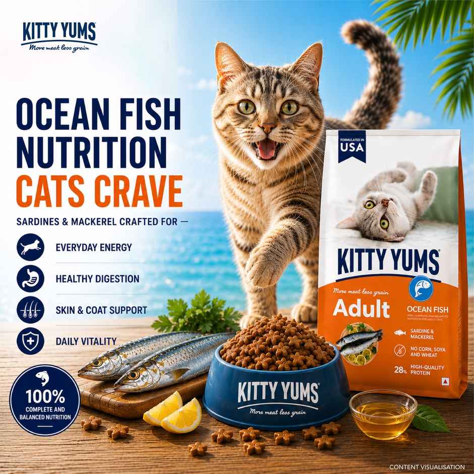 Kitty Yums Adult Cat Dry Food Ocean Fish
