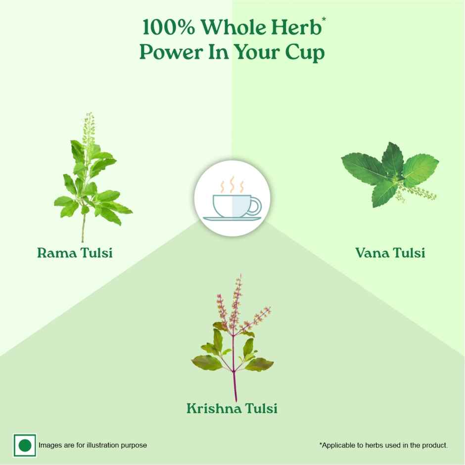 Organic India Tulsi Green Tea Classic Herbal Infusion Bags