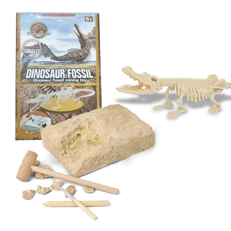 Kidology Dinosaur Fossil Digging Kit for Kids | Dino Fossil Dig Kit Model Toys | Dinosaurs Skeleton