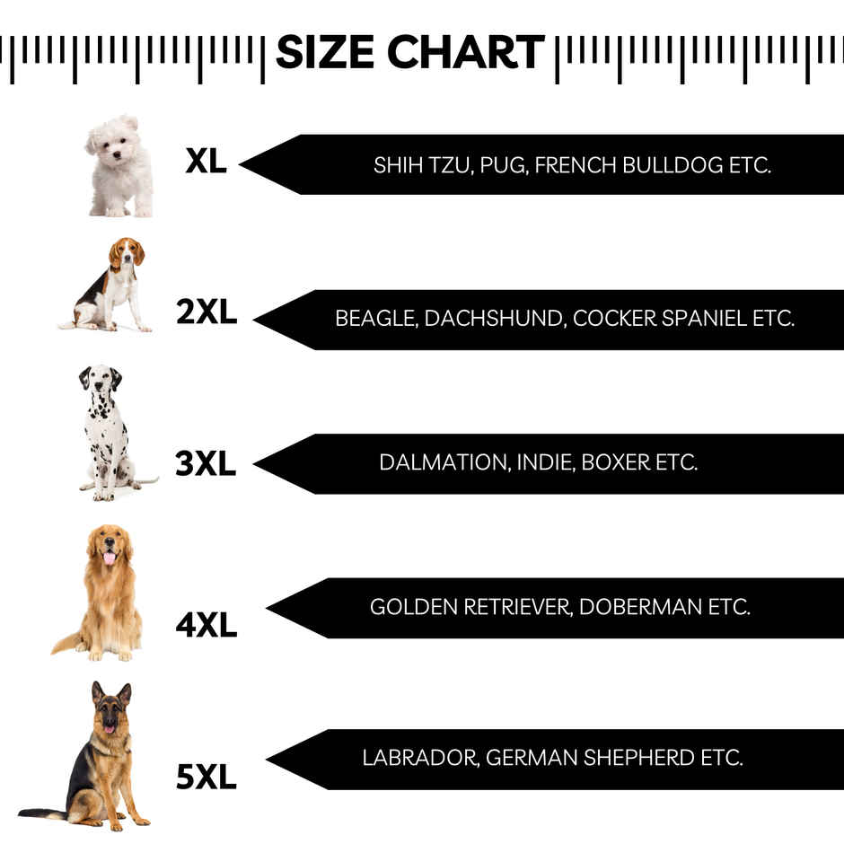 Pets Empire Lightweight Mahroon Raincoat Jacket for Adult Dogs , 20inch length , 3XL