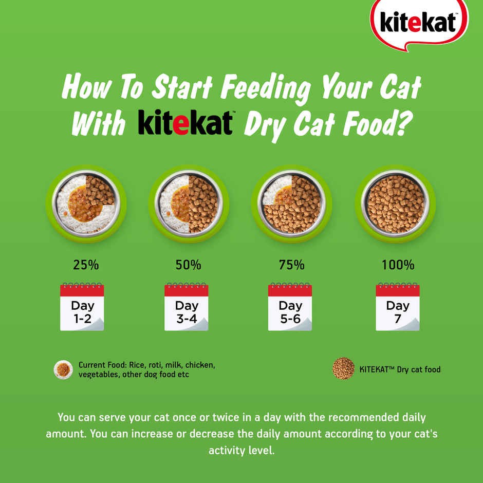 Kitekat Adult Dry Cat Food | Ocean Fish Flavour | 1+ Years