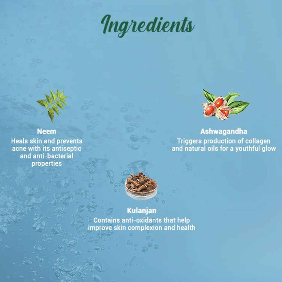 Biotique Fresh Neem Pimple Control Face Wash