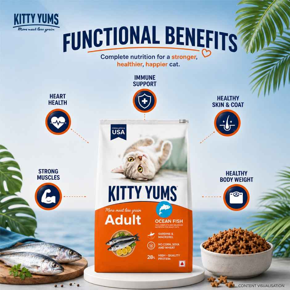 Kitty Yums Adult Cat Dry Food Ocean Fish