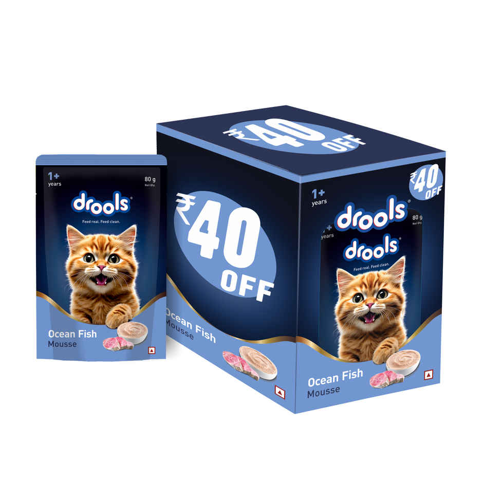 Drools Ocean Fish Mousse Adult Cat Wet Food, 80g (4+1 Free Pack)
