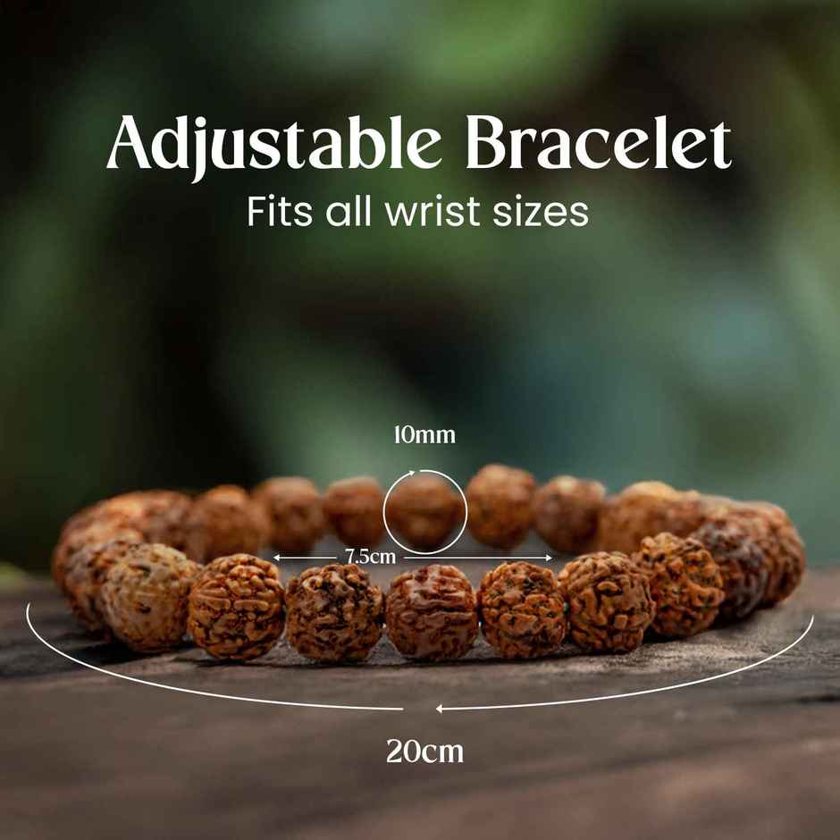 Astrotalk 5 Mukhi Rudraksha Bracelet for Spiritual Wear | Pack of 1