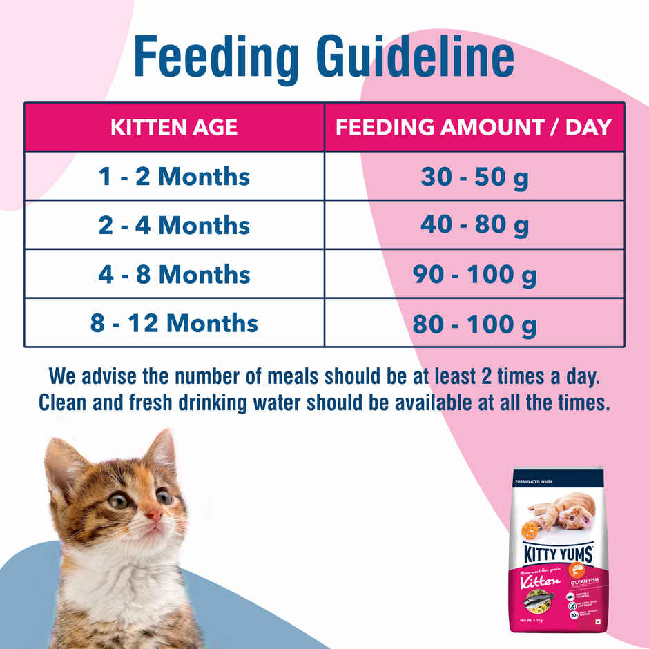 Kitty Yums Kitten Dry Cat Food Ocean Fish with Free Container