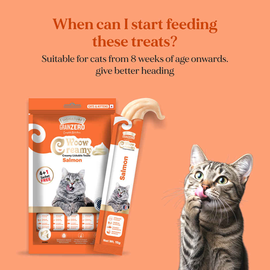 Grain Zero Creamy Lickable Cat Treat - Salmon