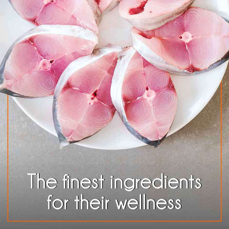 Purepet Mackerel Adult Cat FOOD