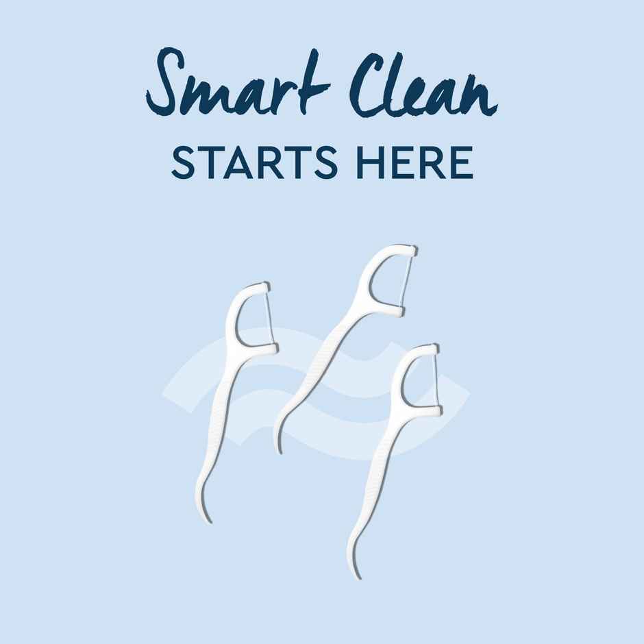 GUBB Dental Floss Pick Pack of 24