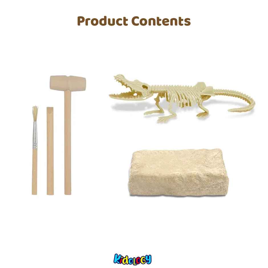 Kidology Dinosaur Fossil Digging Kit for Kids | Dino Fossil Dig Kit Model Toys | Dinosaurs Skeleton