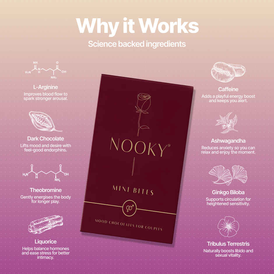 Nooky Tempt 2 in 1 Play Kit Keystone Butt Plug for Couples small Mini Bite Intimacy Chocolate