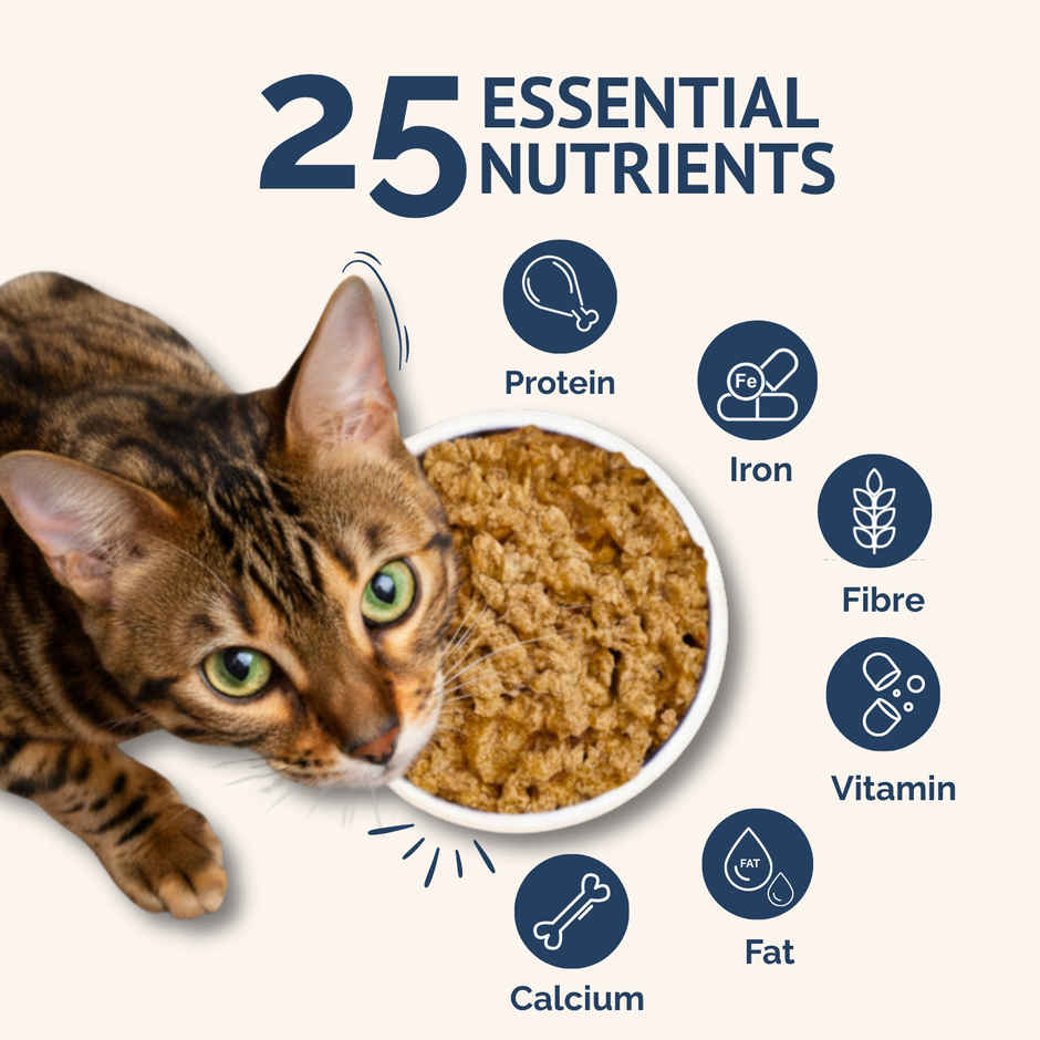 Goofy Tails Mackerel & Chicken Cat Meals