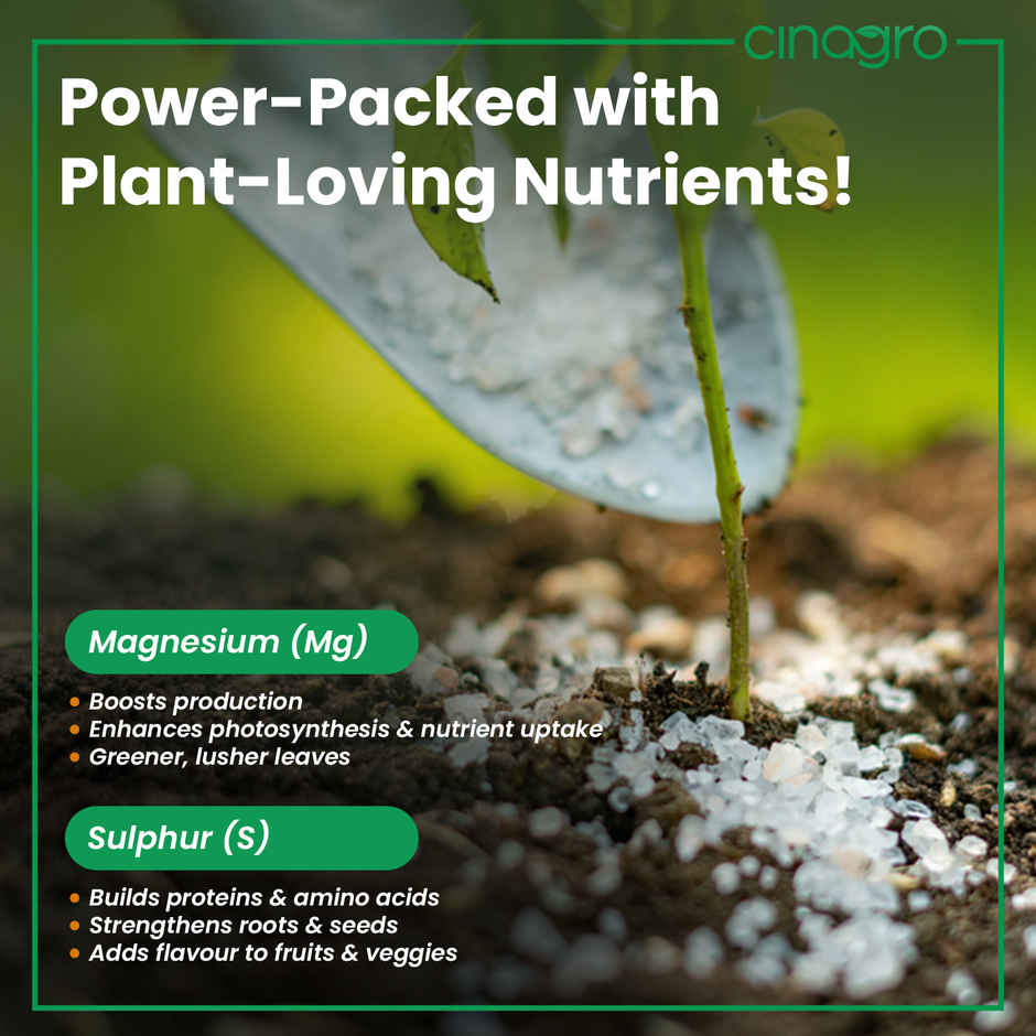 Cinagro Epsom Salt Plant Fertilizer - Magnesium Sulphate, Deters Pests, Speeds Germination