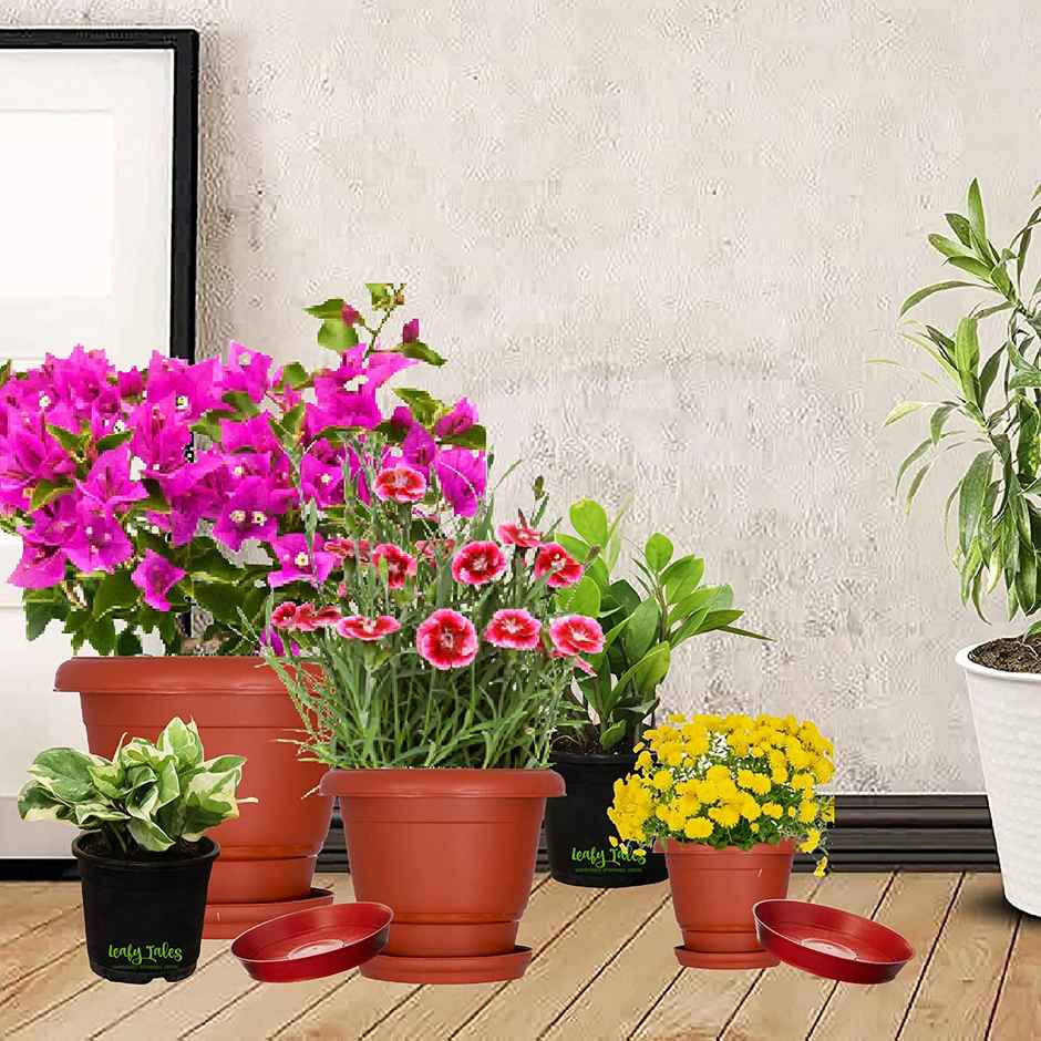 Leafy Tales Plastic Pots, Terracotta Color 10 Inch Pot Size, 5 Pieces, Big (10" Terracotta Pot - 5)