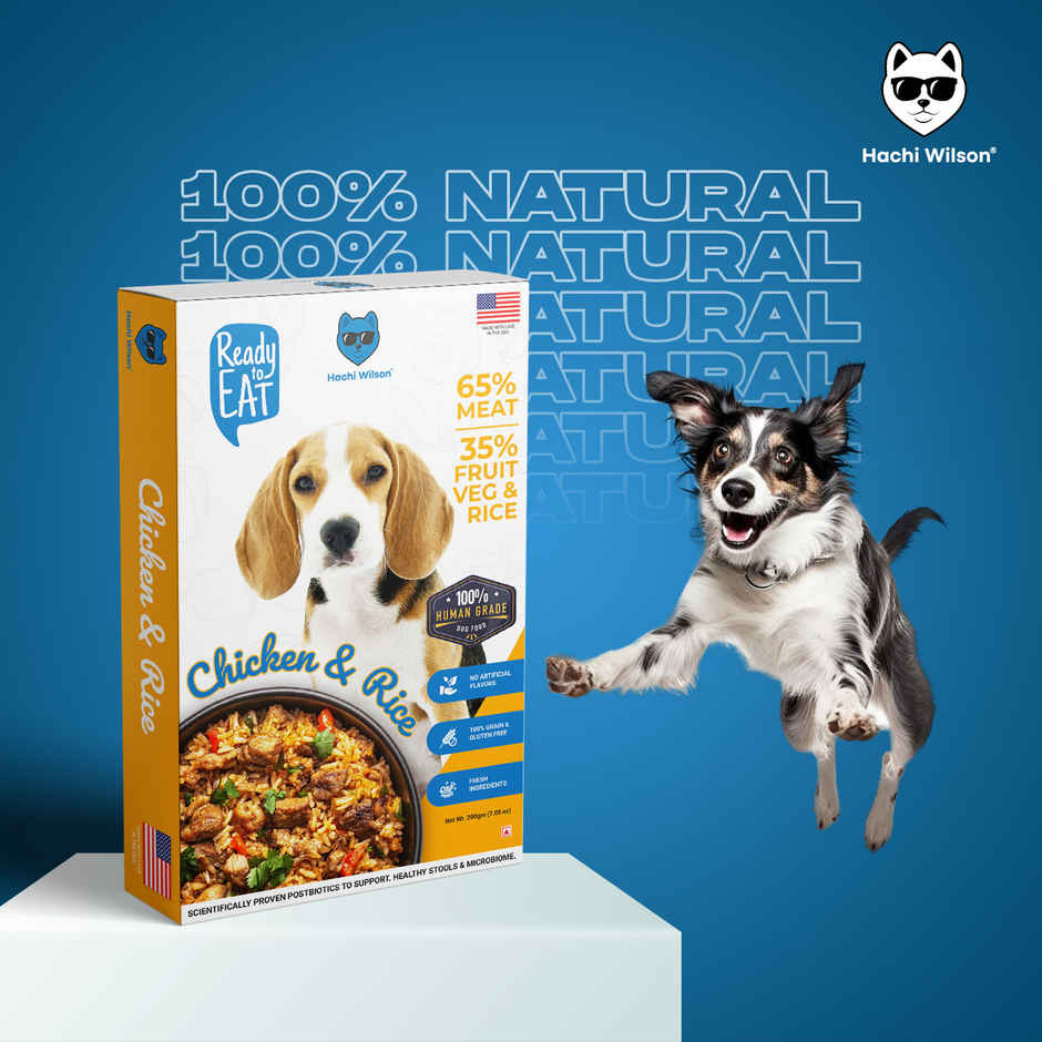 Hachi Wilson Fresh Wholesome Dog Food | Super Healthy food - Chicken & Rice