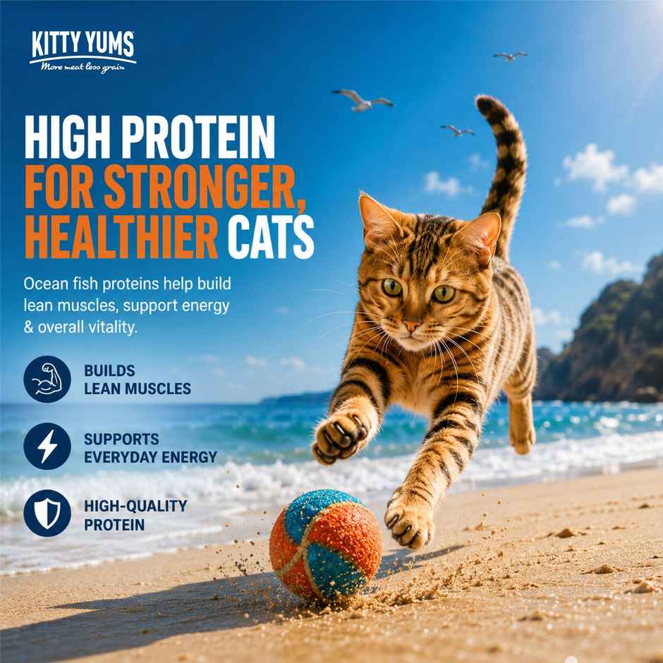 Kitty Yums Adult Cat Dry Food Ocean Fish