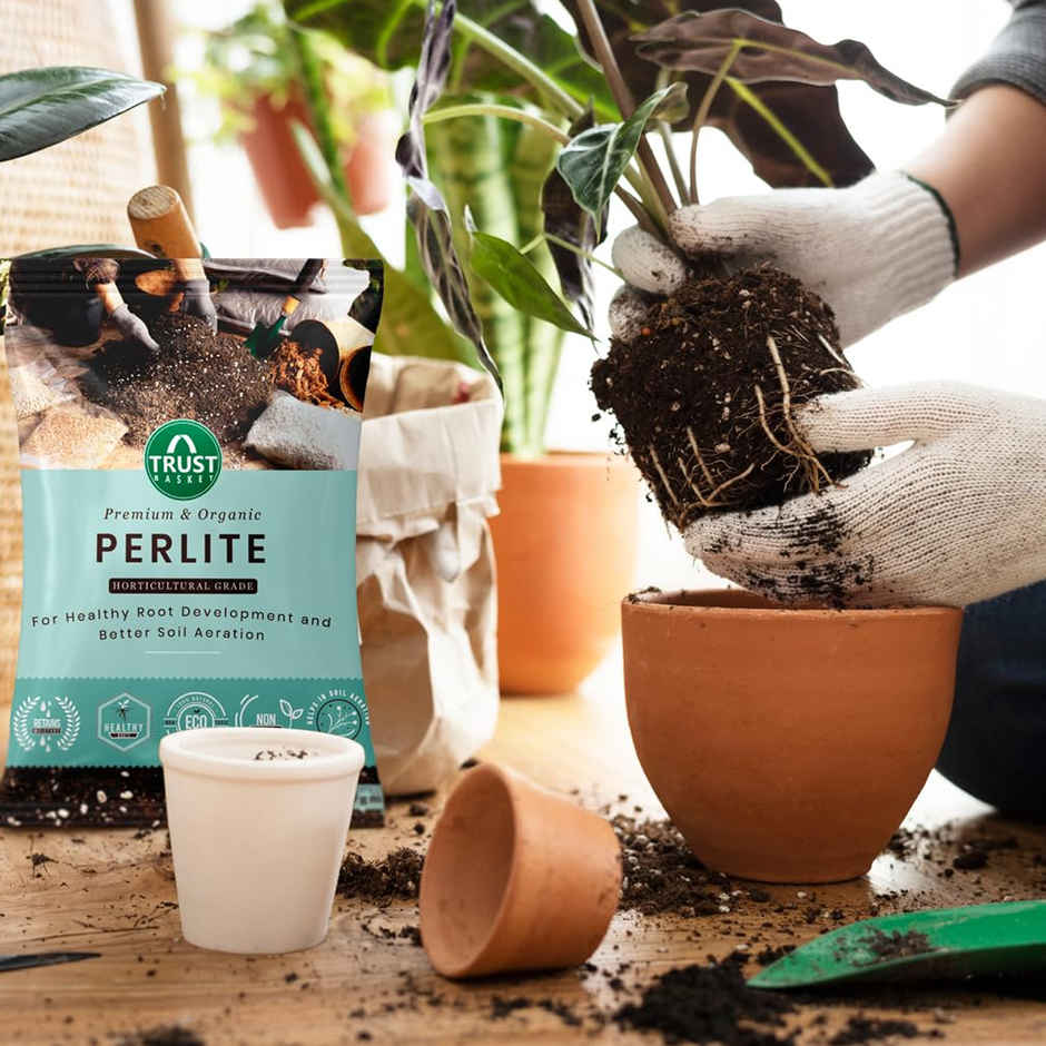 TrustBasket Perlite for Plants Soil Additive Horticultural Grade - for Indoor, Outdoor