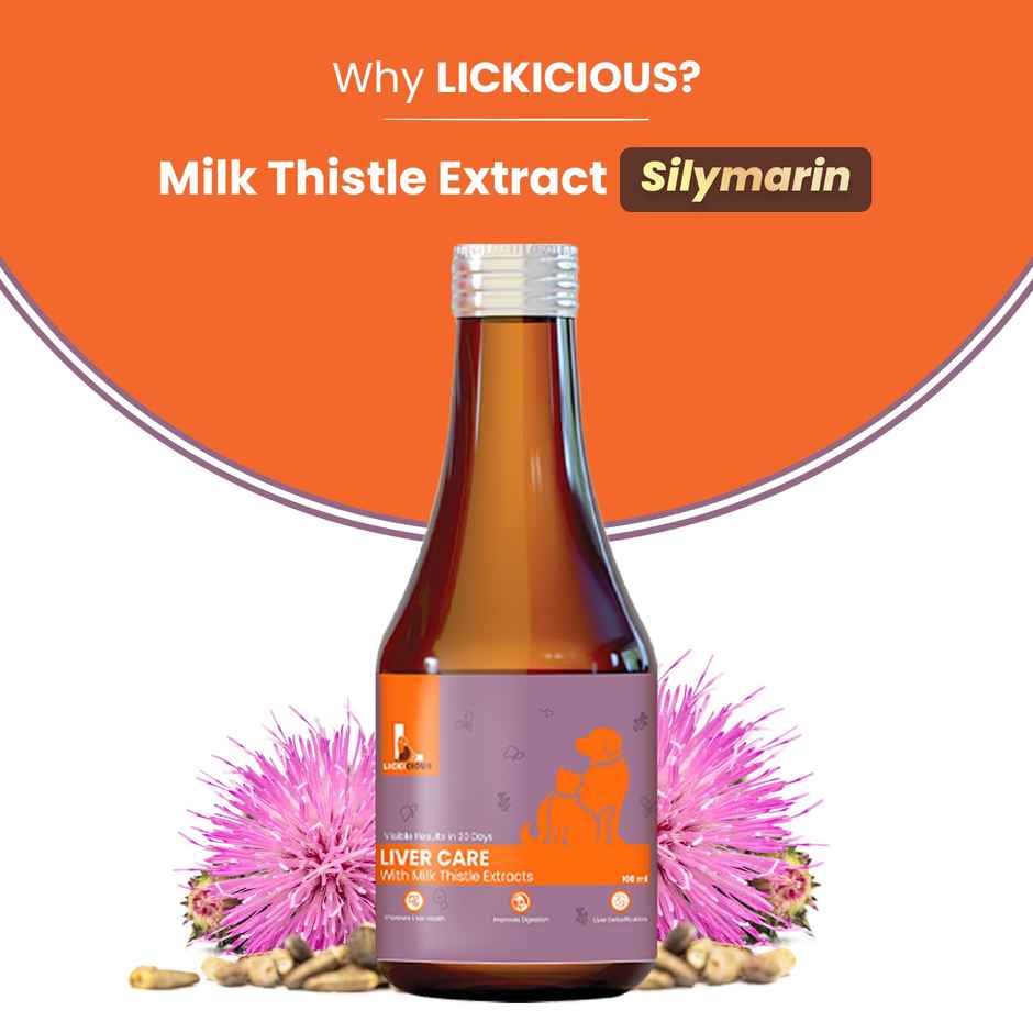 LICKICIOUS Liver Care Cat & Dog Supplement Syrup