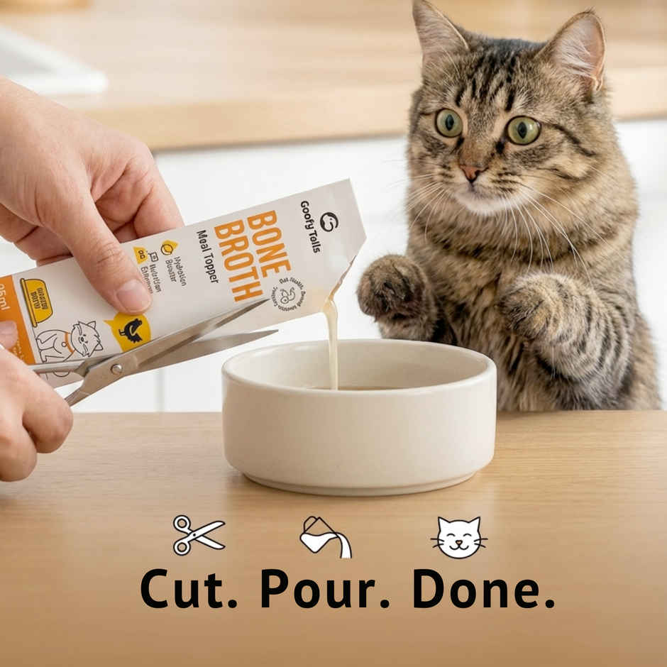 Goofy Tails Chicken Bone Broth for Cats | Collagen Rich Cat and Kitten Food Topper