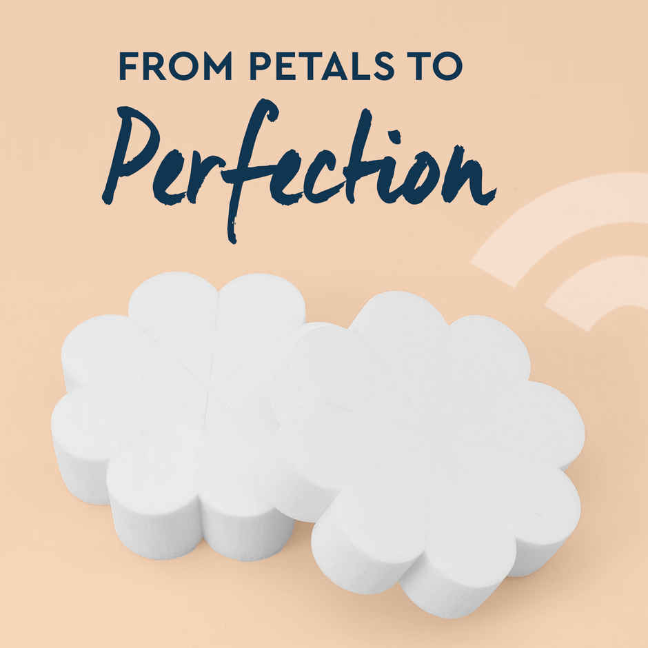 Gubb Makeup Wedges-Latex Free