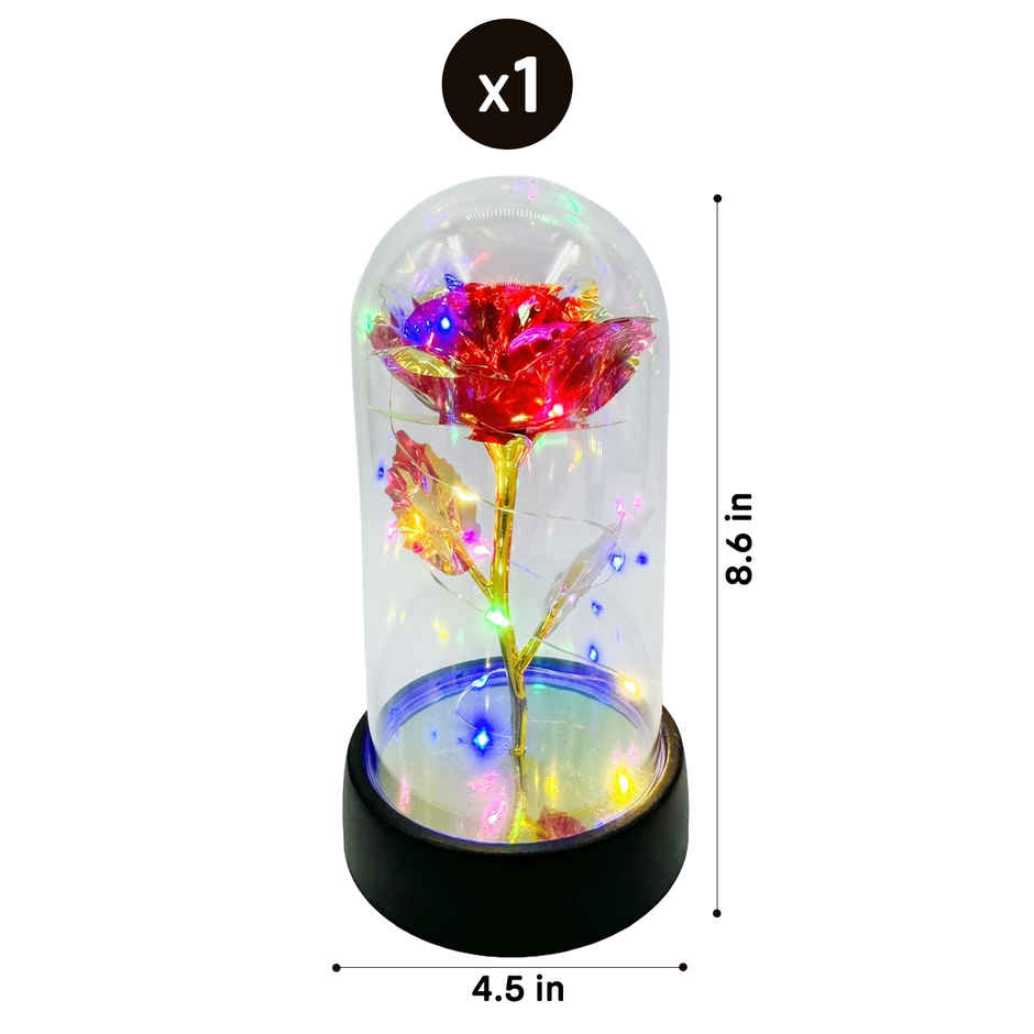 Preserved Rose in Glass Dome with LED Light Flower Decor | Party Propz