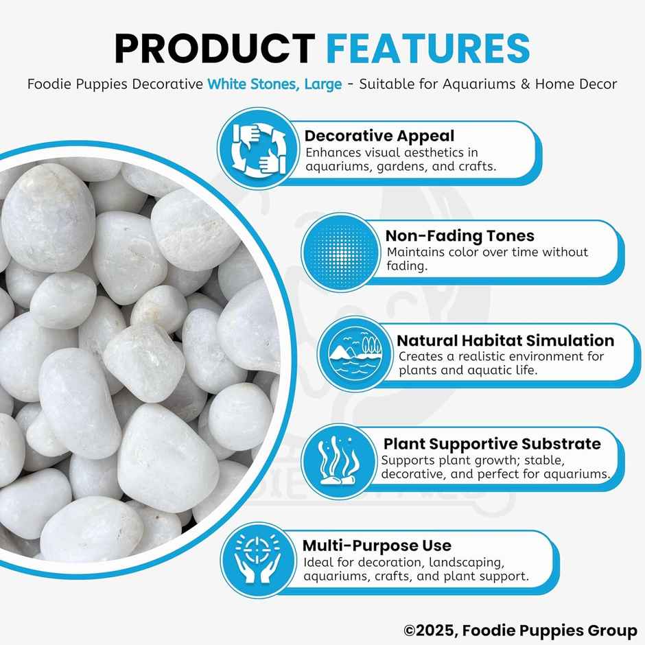 Foodie Puppies White Polished Pebbles Glossy Stones for Aquarium and Fish Tank 2Kg