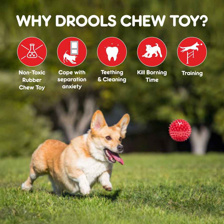 Drools Non-Toxic Rubber Stud Spike Hard Ball Chew Toy, Puppy/Dog Teething Toy - 3 inches