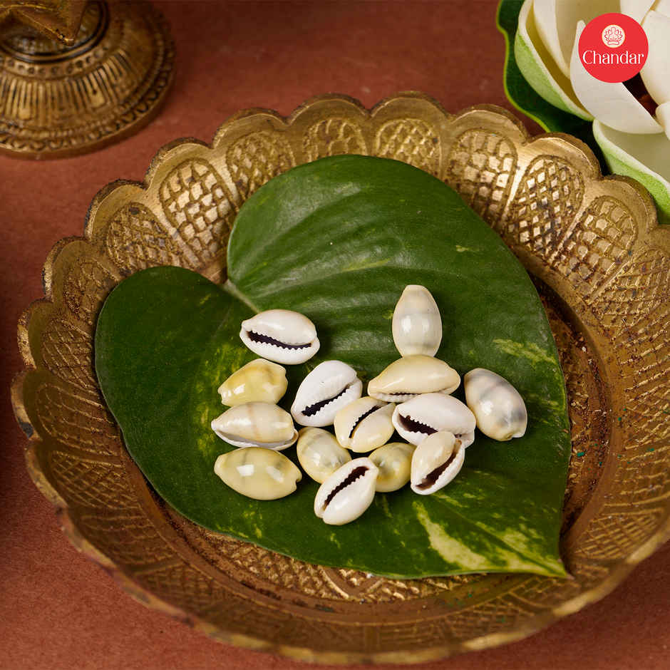 Small Kodi | Traditional & Authentic | Chandar