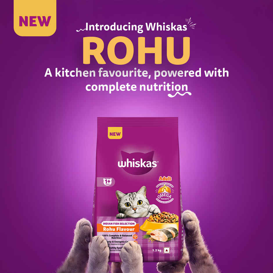 Whiskas Adult Dry Cat Food 1 Plus Years Rohu Fish Flavour