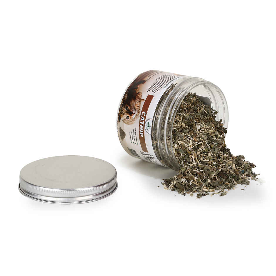 Basil Catnip Jar | 100% Natural | Safe | Stimulates Play in Cats & Kittens