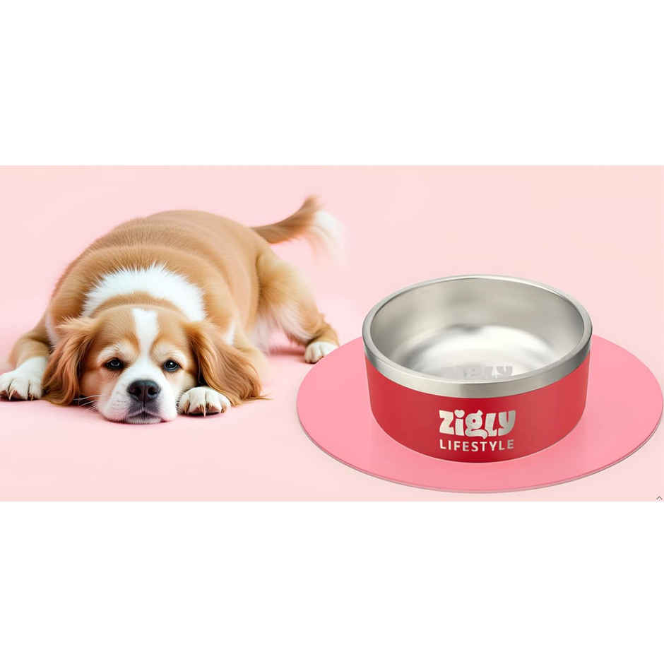 Zigly Lifestyle Double Walled Dog Bowl Small - Red