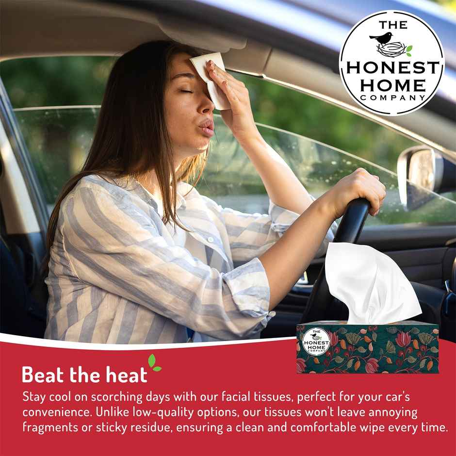 The Honest Home Company Face Tissue 2 Ply - 100 Pulls | Festive Green