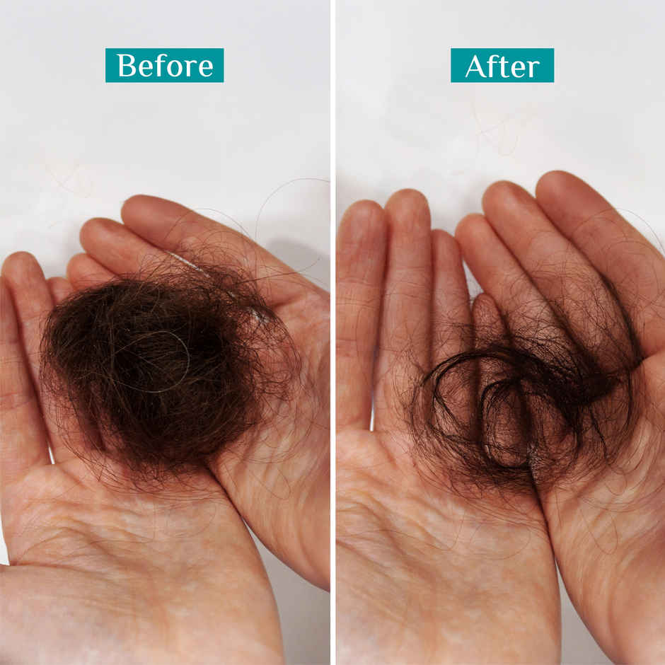 Pilgrim Spanish Rosemary and Biotin Anti-Hairfall Shampoo for Hair Fall & Stronger Hair