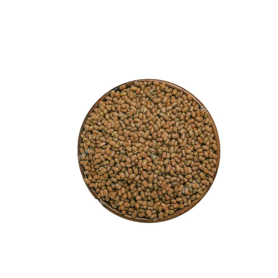 Organic Tattva Moth