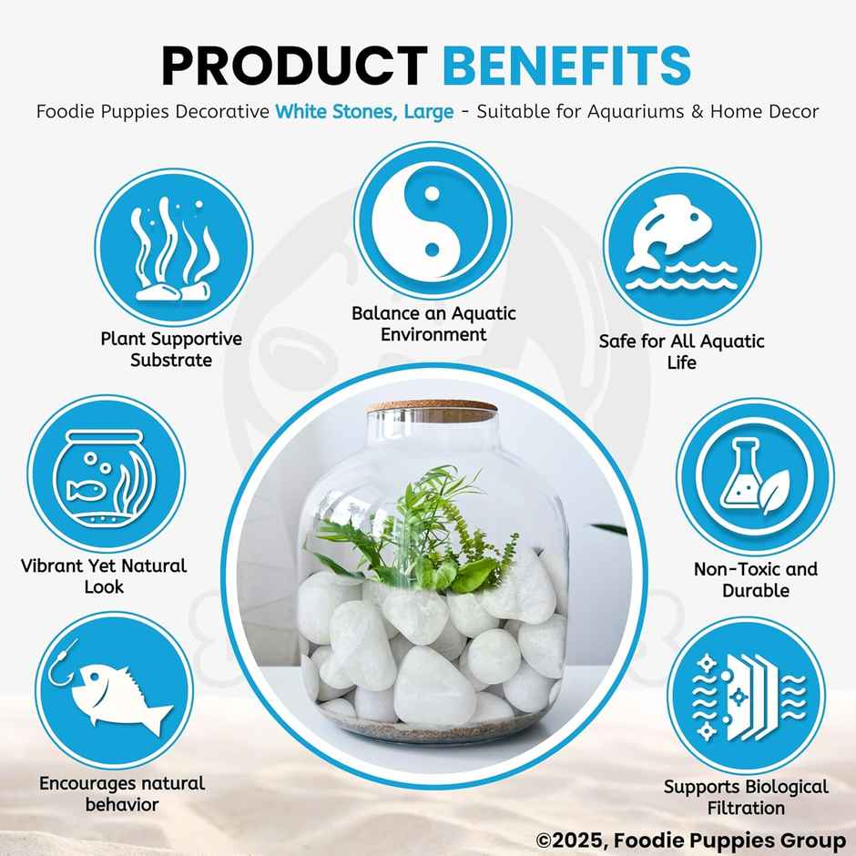 Foodie Puppies White Polished Pebbles Glossy Stones for Aquarium and Fish Tank 2Kg