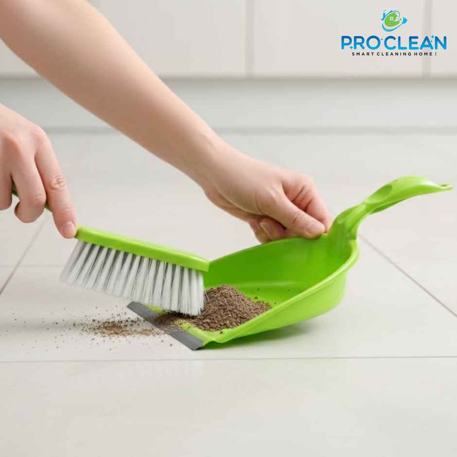 Proclean Dust Pan With Brush - Assorted