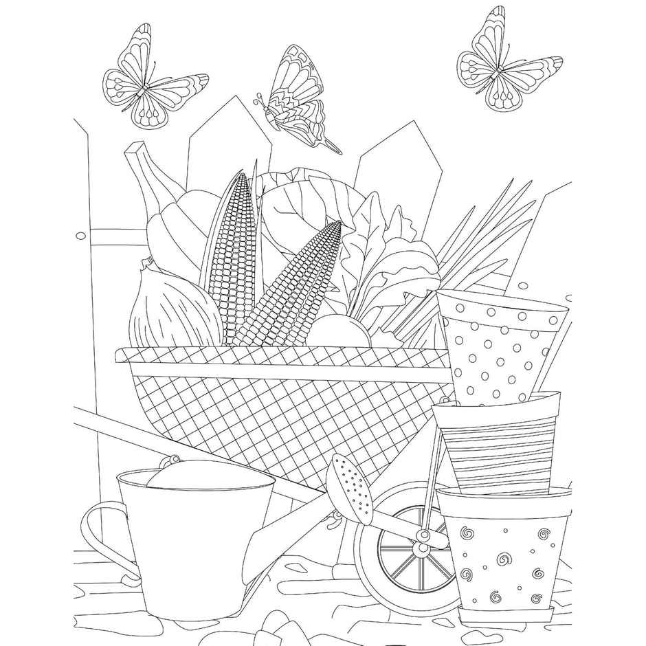 Countryside- Colouring Book for Adults | Relaxing & Creative