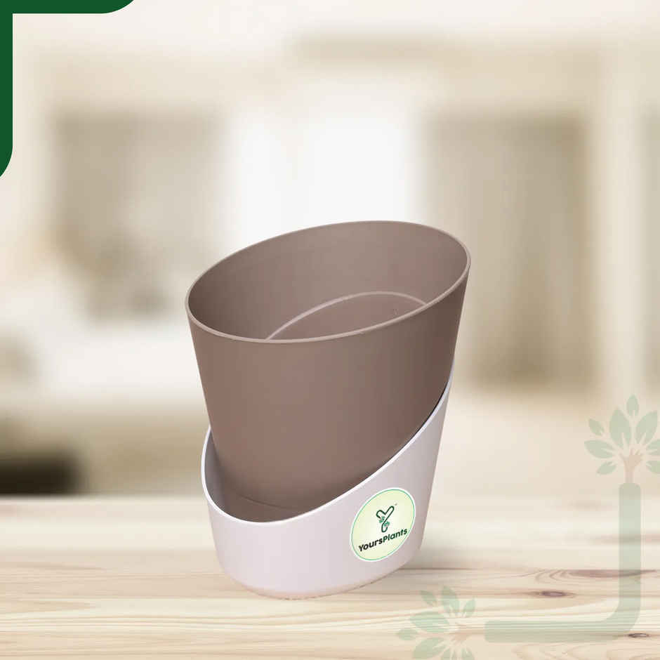 Yoursplants Atlantis - 4 Inch Mocca Pot | Pack Of 1