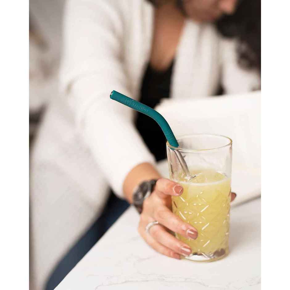 Tintbox Reusable Stainless Steel Straws With Silicone Tip, Pack Of 4 Straws With Cleaning Brush